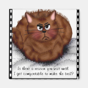 Imán ¡No nos divierten!