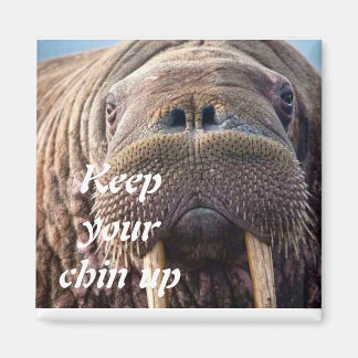 Imán No obtener una tarjeta de simpatía adecuada: Hospi