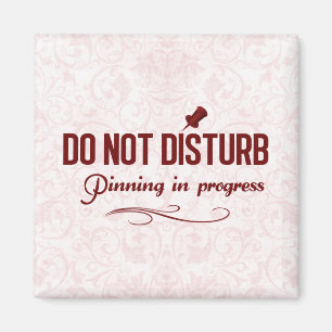 Imán No perturbe. Fijación en curso