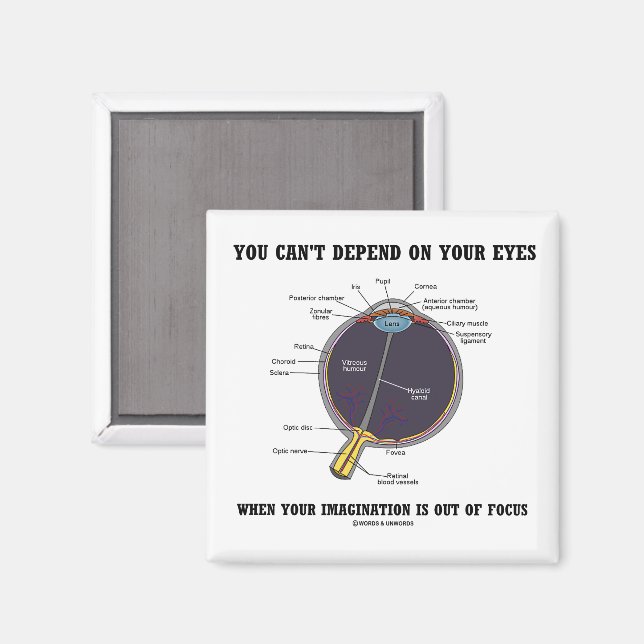 Imán No puedes depender de tu enfoque de imaginación (Anverso/Reverso)