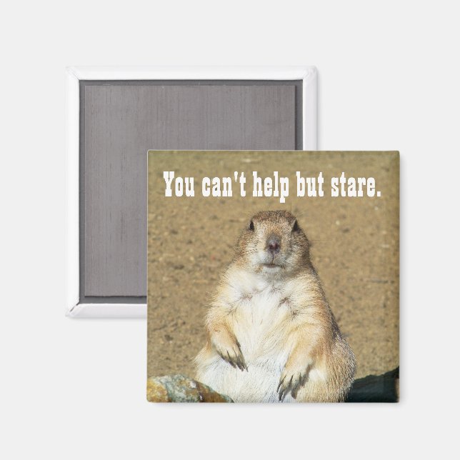 Imán "No puedes evitar Stare" Prairie Dog Magnet (Anverso/Reverso)