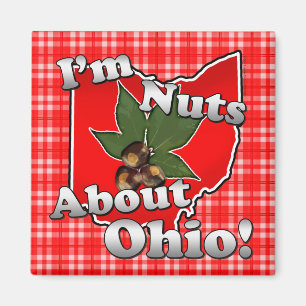 Imán No sé nada de Ohio, qué graciosa imbécil roja