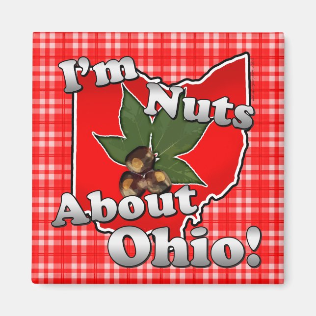 Imán No sé nada de Ohio, qué graciosa imbécil roja (Frente)