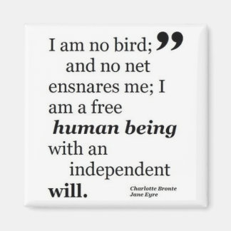 Imán No Soy Pájaro