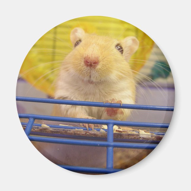 Imán No soy un ratón (Frente)