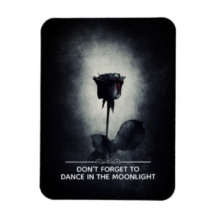 Imán No te olvides de bailar a la luz de la luna