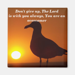 Imán ¡No te rindas!