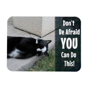 Imán No tengas miedo de decir motivos de gato