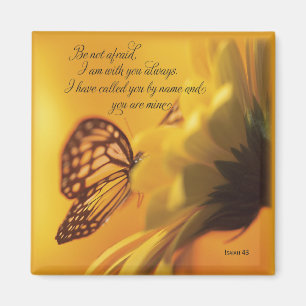 Imán No tengas miedo de la mariposa religiosa en la mar