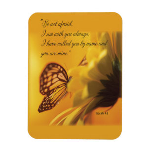 Imán No tengas miedo de la mariposa religiosa en la mar