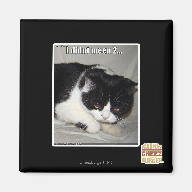 Imán No tenía 2. (Frente)