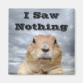 Imán No vi nada en el Día de la Marmota