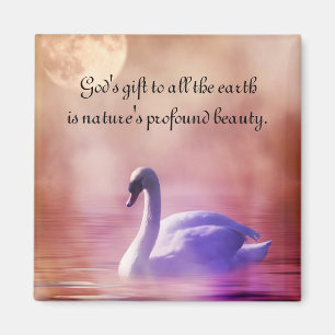 Imán Noble Swan