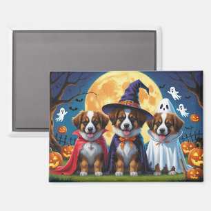 Imán Noche belga de perros pastores Calabaza Halloween 