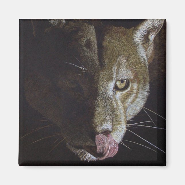 Imán Noche de Cougar (Frente)