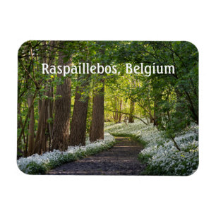 Imán Noche de primavera en Raspaillebos, Bélgica