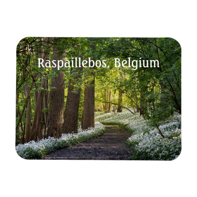 Imán Noche de primavera en Raspaillebos, Bélgica (Horizontal)