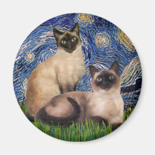Imán Noche estrellada - Dos gatos siameses (Punto de ch