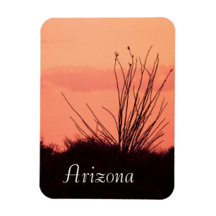 Imán noches de desierto en Arizona