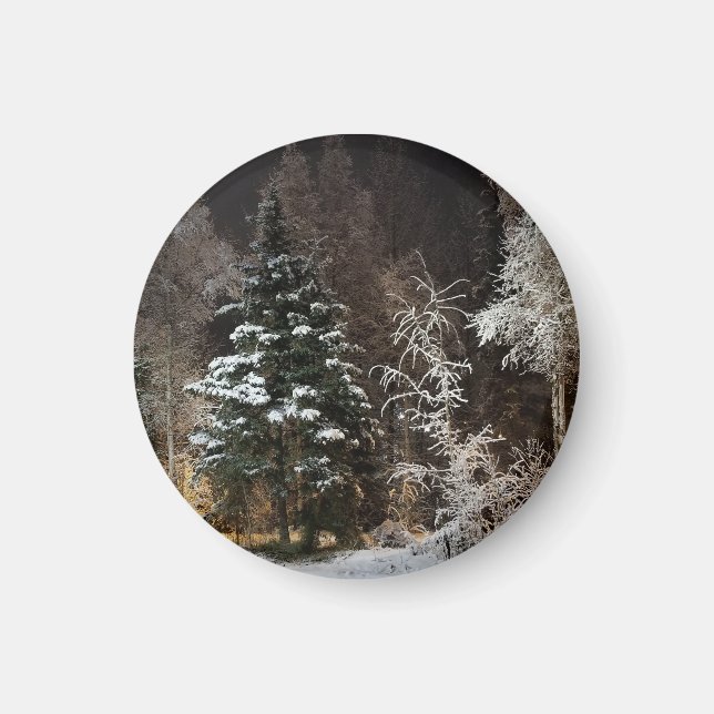 Imán nocturno de Woodland negro con escarcha (Frente)