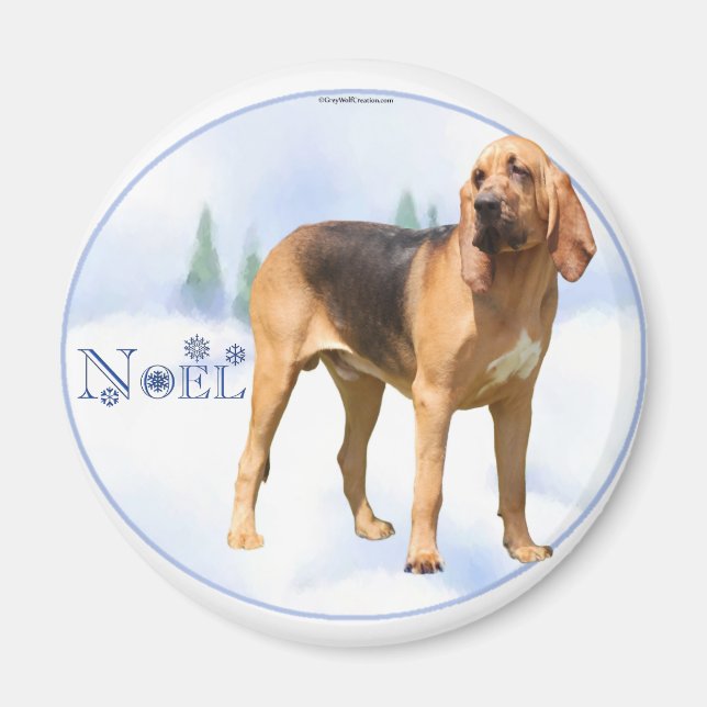 Imán Noel Bloodhound (Frente)