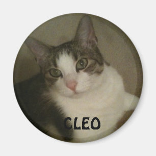 Imán nombrado de la foto del mascota