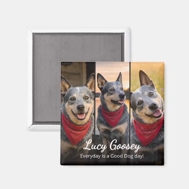 Imán Nombre de foto de perro Dicho lindo (Anverso/Reverso)