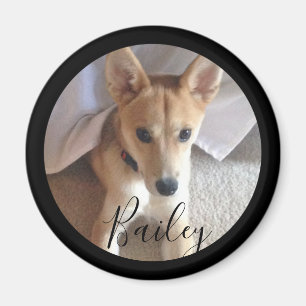 Imán Nombre de la foto del Mascota de perro Personaliza