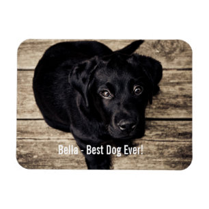 Imán Nombre negro personalizado de la foto del perro