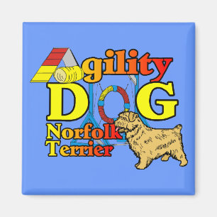 Imán Norfolk_Terrier_Agility