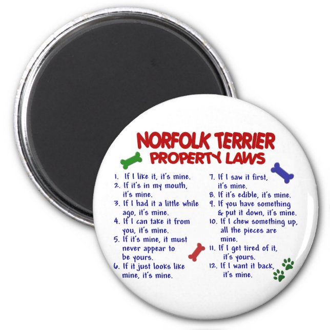 Imán NORFOLK TERRIER (Leyes de propiedad) 2 (Frente)