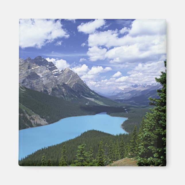 Imán Norteamérica, Canadá, Alberta, Jasper 6 (Frente)
