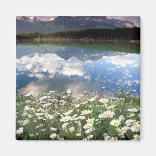 Imán Norteamérica, Canadá, Alberta, Parque Nacional Ban