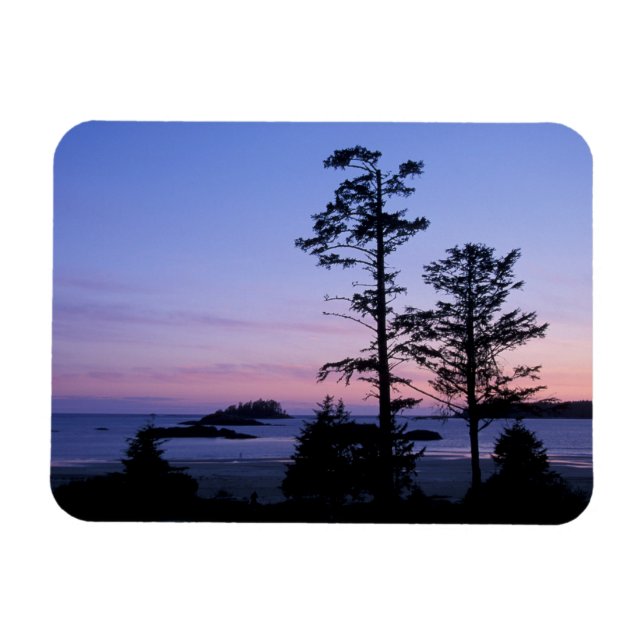 Imán Norteamérica, Canadá, Isla de Vancouver, árboles (Horizontal)