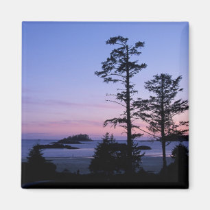 Imán Norteamérica, Canadá, Isla de Vancouver, árboles