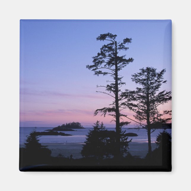 Imán Norteamérica, Canadá, Isla de Vancouver, árboles (Frente)