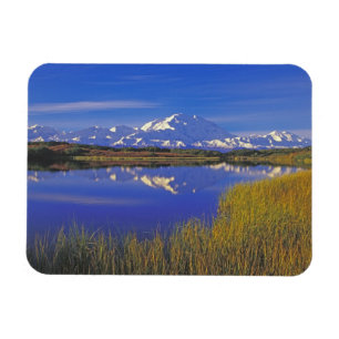 Imán Norteamérica, EE. UU., Alaska, Denali NP,
