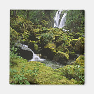 Imán Norteamérica, EE. UU., Alaska. Una cascada y