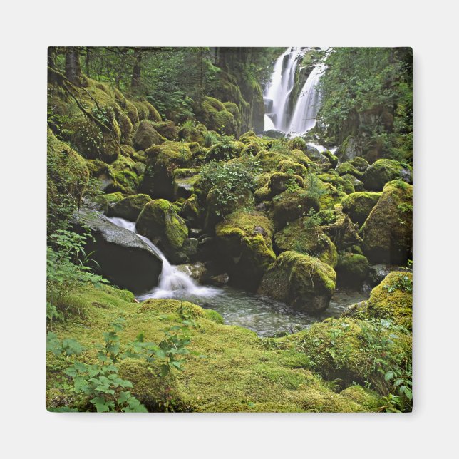 Imán Norteamérica, EE. UU., Alaska. Una cascada y (Frente)