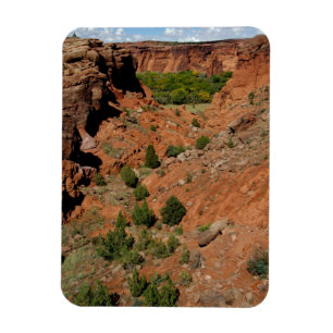 Imán Norteamérica, EE. UU., Arizona, indio navajo