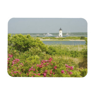 Imán Norteamérica, EE. UU., Massachusetts, Martha's