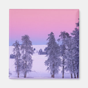 Imán Norteamérica, EE. UU., Montana, Yellowstone