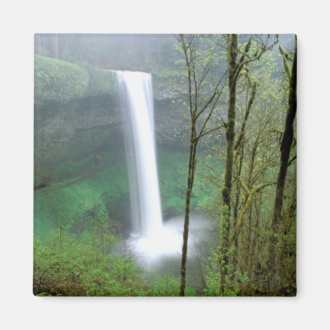 Imán Norteamérica, EE. UU., Oregón, Silver Falls State (Frente)