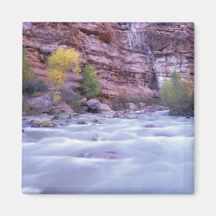 Imán Norteamérica, EE. UU., Utah, Parque Nacional Zion.