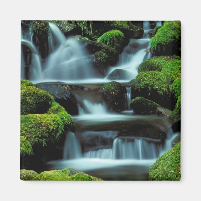 Imán Norteamérica; EE. UU.; Washington, cascada de Sol  (Frente)