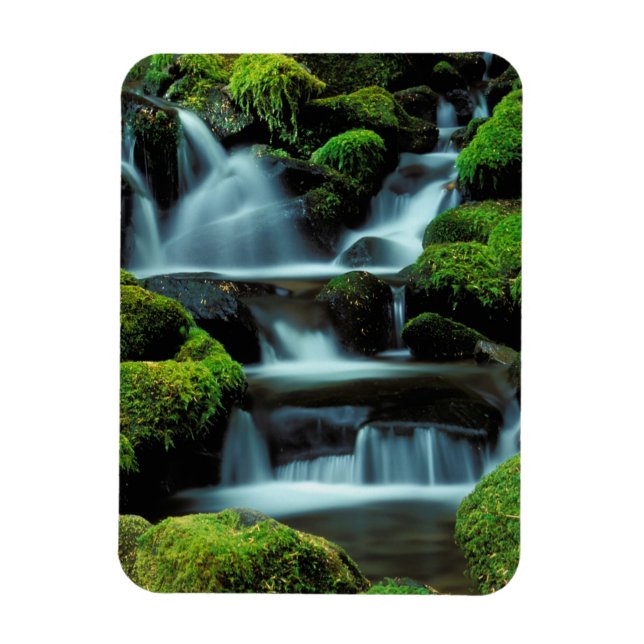 Imán Norteamérica; EE. UU.; Washington, cascada Sol Duc (Vertical)