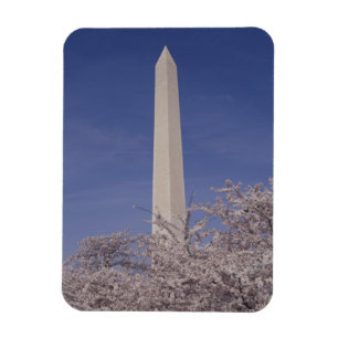 Imán Norteamérica, EE. UU., Washington D.C.. Washington