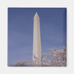 Imán Norteamérica, EE. UU., Washington D.C.. Washington