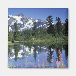 Imán Norteamérica, EE. UU., Washington, Heather Meadows
