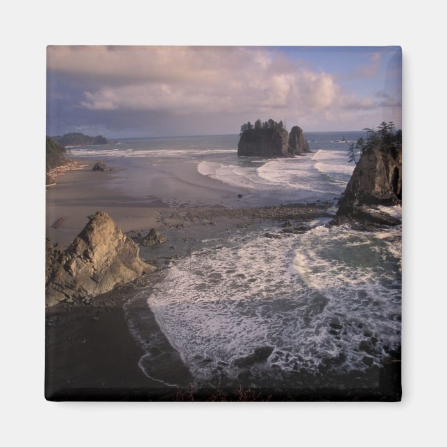 Imán Norteamérica, EE. UU., Washington, Parque Nacional (Frente)